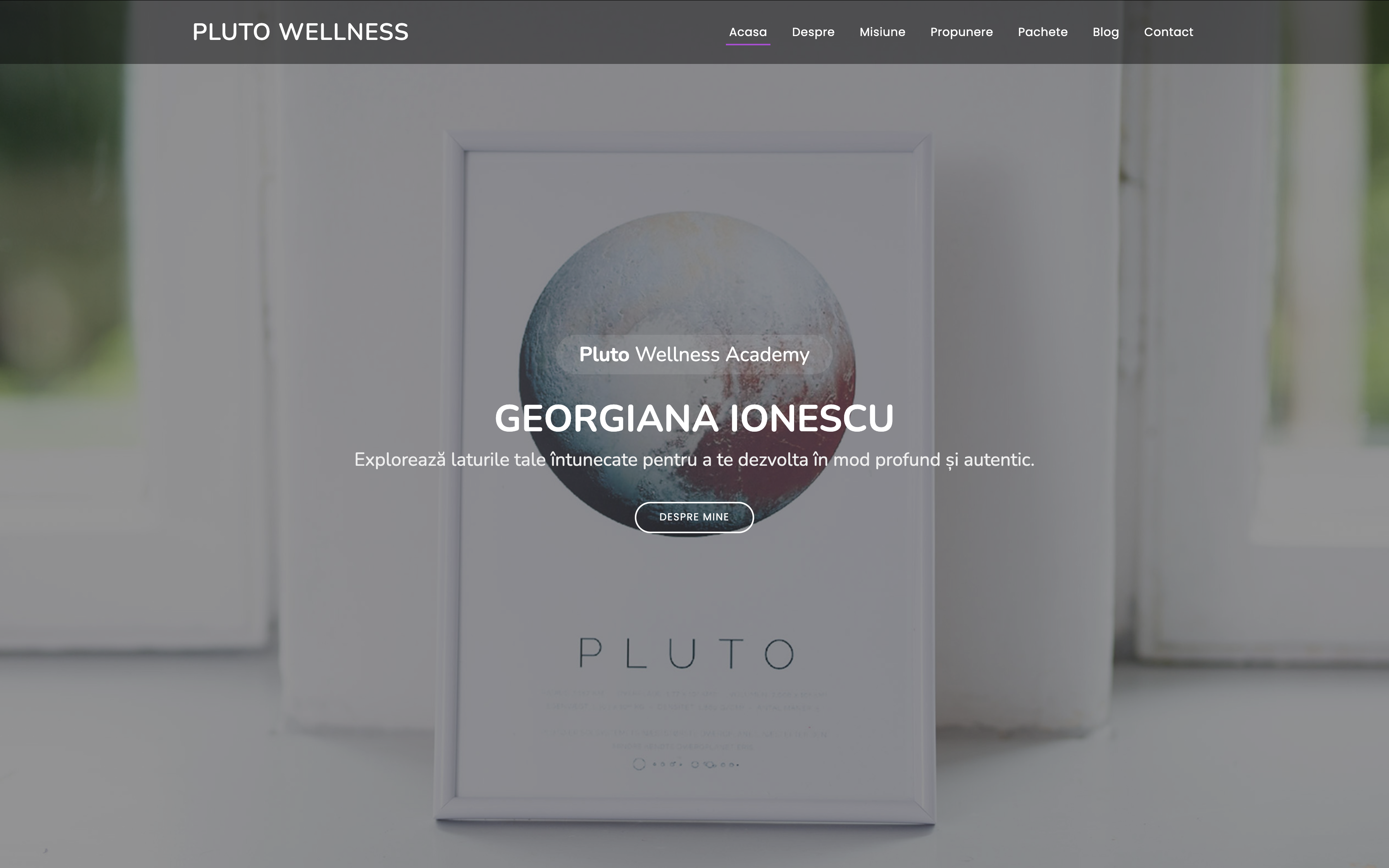 Pluto Wellness Academy
